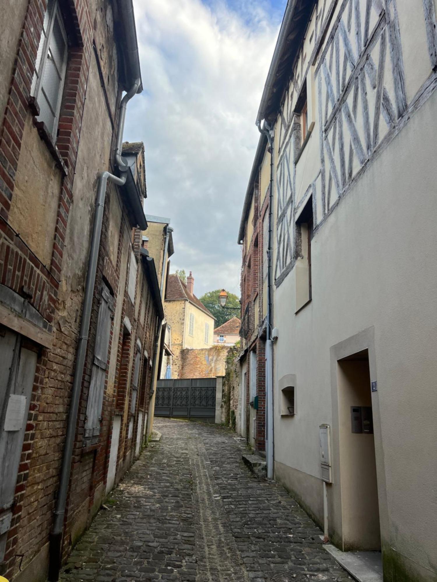 Le Citadin Bourguignon Guest House Toucy Екстериор снимка